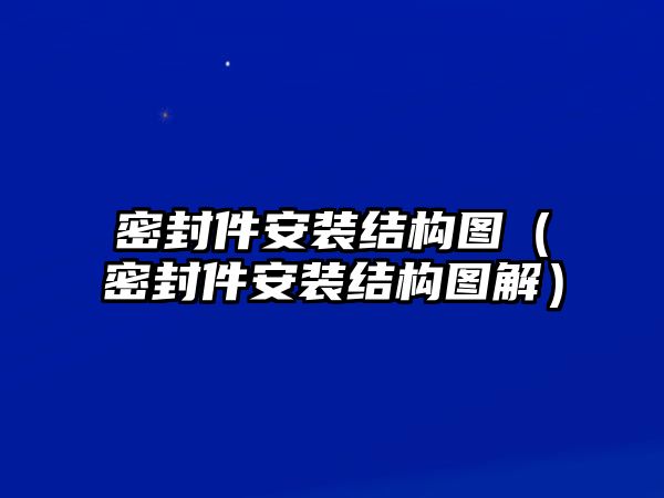 密封件安裝結構圖（密封件安裝結構圖解）