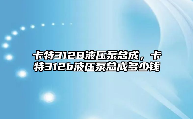 卡特312B液壓泵總成，卡特312b液壓泵總成多少錢