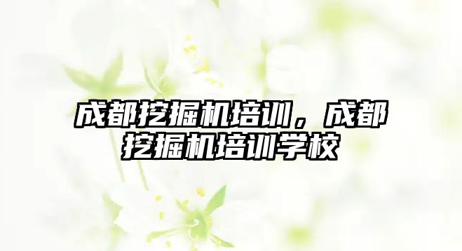 成都挖掘機培訓，成都挖掘機培訓學校