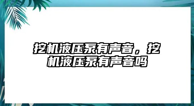 挖機(jī)液壓泵有聲音，挖機(jī)液壓泵有聲音嗎