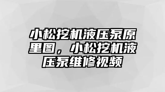 小松挖機液壓泵原里圖，小松挖機液壓泵維修視頻