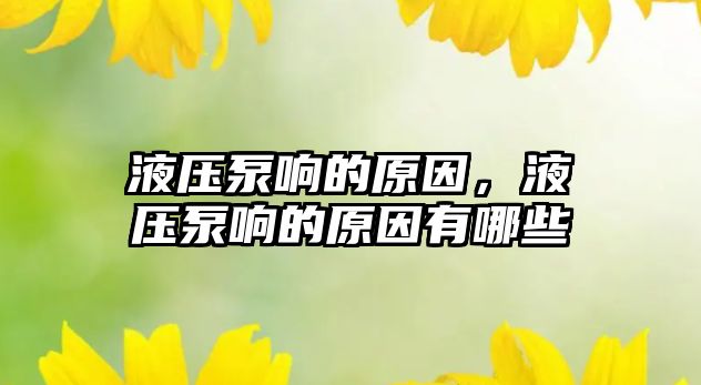 液壓泵響的原因，液壓泵響的原因有哪些