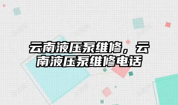 云南液壓泵維修，云南液壓泵維修電話