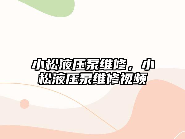 小松液壓泵維修，小松液壓泵維修視頻