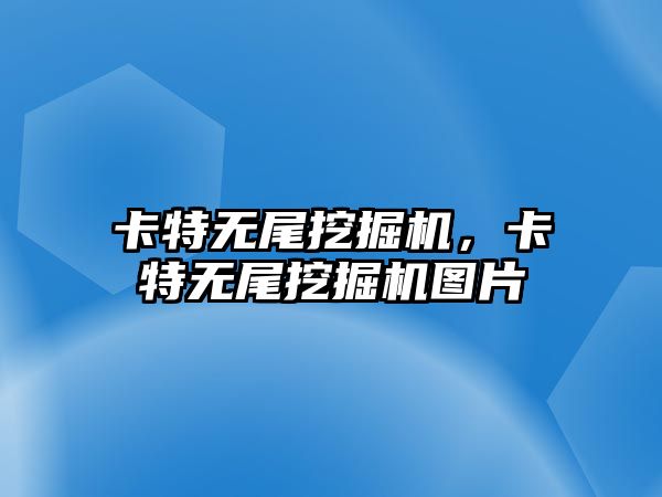 卡特?zé)o尾挖掘機，卡特?zé)o尾挖掘機圖片