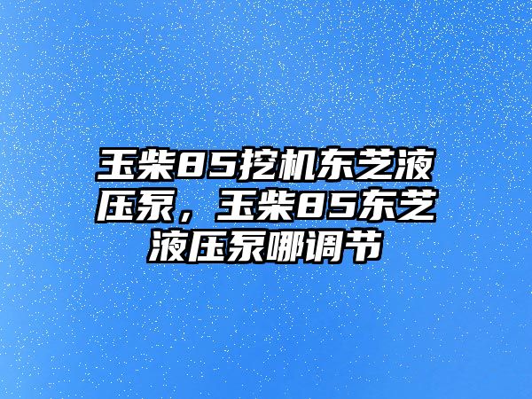 玉柴85挖機(jī)東芝液壓泵，玉柴85東芝液壓泵哪調(diào)節(jié)