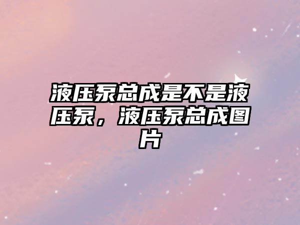 液壓泵總成是不是液壓泵，液壓泵總成圖片