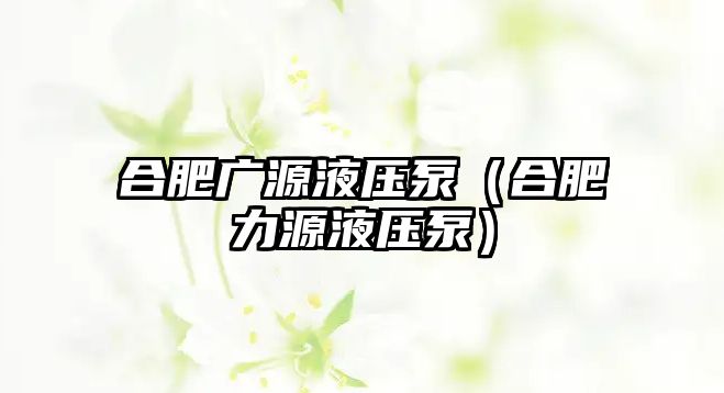 合肥廣源液壓泵（合肥力源液壓泵）