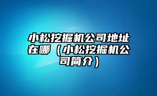 小松挖掘機(jī)公司地址在哪（小松挖掘機(jī)公司簡(jiǎn)介）