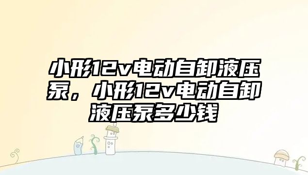 小形12v電動自卸液壓泵，小形12v電動自卸液壓泵多少錢