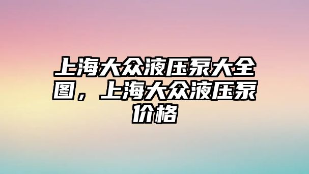 上海大眾液壓泵大全圖，上海大眾液壓泵價(jià)格