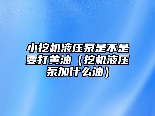 小挖機(jī)液壓泵是不是要打黃油（挖機(jī)液壓泵加什么油）