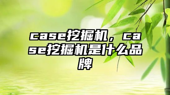 case挖掘機(jī)，case挖掘機(jī)是什么品牌