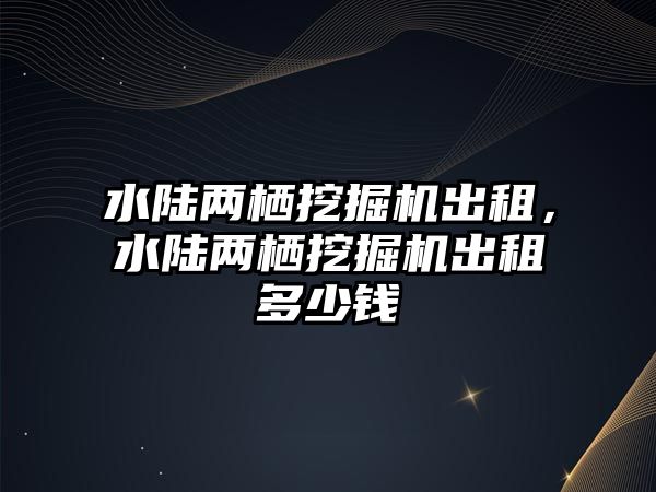 水陸兩棲挖掘機出租，水陸兩棲挖掘機出租多少錢