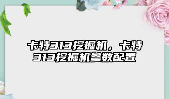 卡特313挖掘機，卡特313挖掘機參數(shù)配置