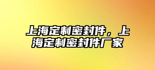 上海定制密封件，上海定制密封件廠家