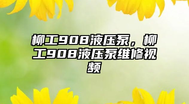 柳工908液壓泵，柳工908液壓泵維修視頻