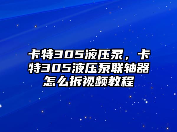 卡特305液壓泵，卡特305液壓泵聯(lián)軸器怎么拆視頻教程