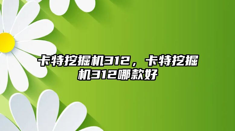 卡特挖掘機312，卡特挖掘機312哪款好