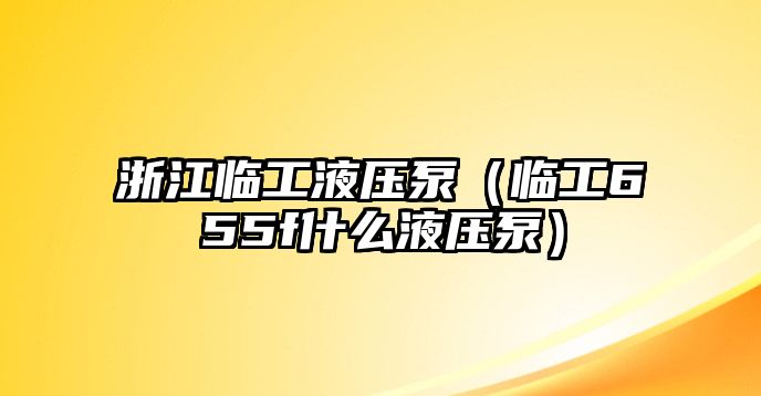 浙江臨工液壓泵（臨工655f什么液壓泵）