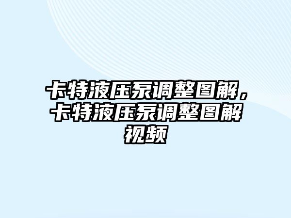 卡特液壓泵調(diào)整圖解，卡特液壓泵調(diào)整圖解視頻