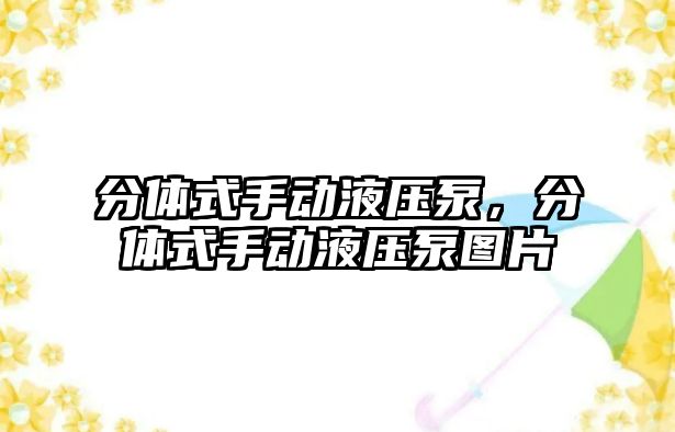 分體式手動液壓泵，分體式手動液壓泵圖片