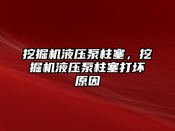 挖掘機液壓泵柱塞，挖掘機液壓泵柱塞打壞原因