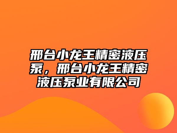 邢臺小龍王精密液壓泵，邢臺小龍王精密液壓泵業(yè)有限公司