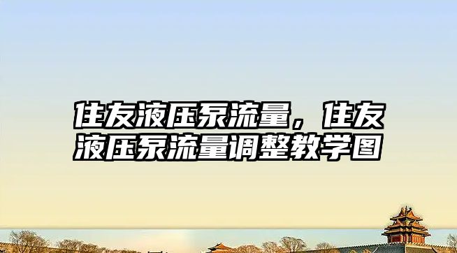 住友液壓泵流量，住友液壓泵流量調(diào)整教學(xué)圖