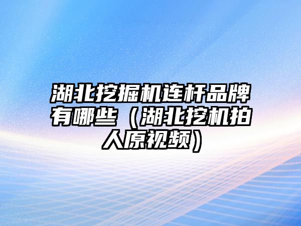 湖北挖掘機(jī)連桿品牌有哪些（湖北挖機(jī)拍人原視頻）