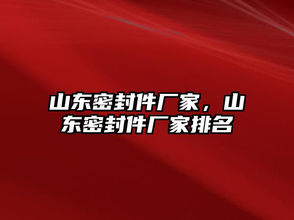 山東密封件廠家，山東密封件廠家排名