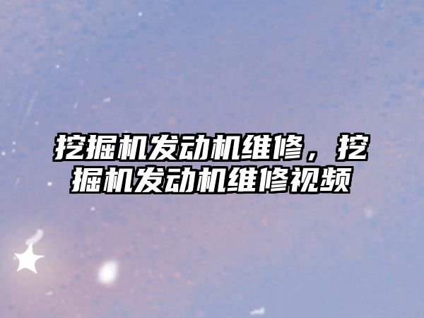 挖掘機發(fā)動機維修，挖掘機發(fā)動機維修視頻