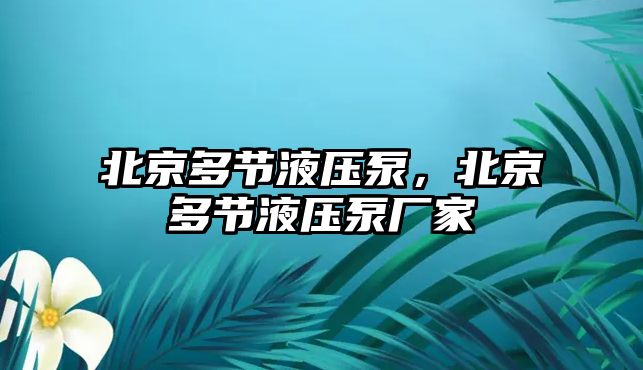 北京多節(jié)液壓泵，北京多節(jié)液壓泵廠家