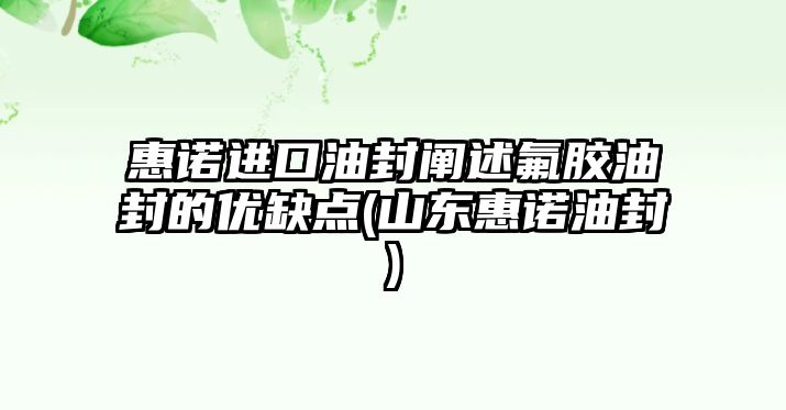 惠諾進(jìn)口油封闡述氟膠油封的優(yōu)缺點(diǎn)(山東惠諾油封)