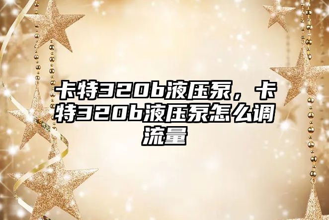 卡特320b液壓泵，卡特320b液壓泵怎么調(diào)流量