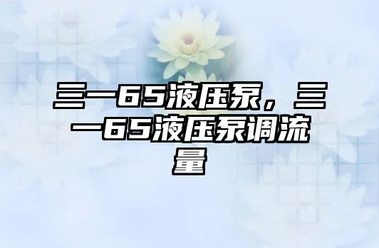 三一65液壓泵，三一65液壓泵調(diào)流量