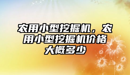 農(nóng)用小型挖掘機，農(nóng)用小型挖掘機價格大概多少