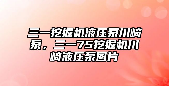 三一挖掘機(jī)液壓泵川崎泵，三一75挖掘機(jī)川崎液壓泵圖片