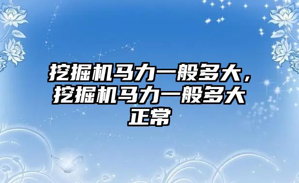 挖掘機馬力一般多大，挖掘機馬力一般多大正常