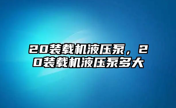 20裝載機(jī)液壓泵，20裝載機(jī)液壓泵多大