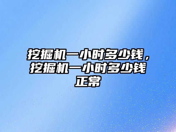 挖掘機(jī)一小時多少錢，挖掘機(jī)一小時多少錢正常