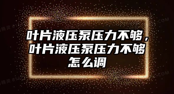 葉片液壓泵壓力不夠，葉片液壓泵壓力不夠怎么調(diào)