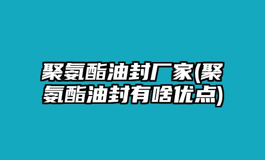 聚氨酯油封廠家(聚氨酯油封有啥優(yōu)點(diǎn))