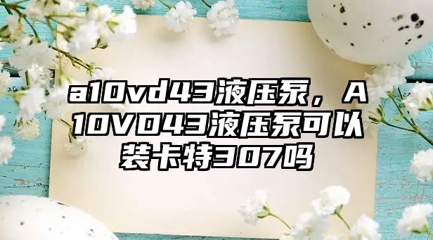 a10vd43液壓泵，A10VD43液壓泵可以裝卡特307嗎