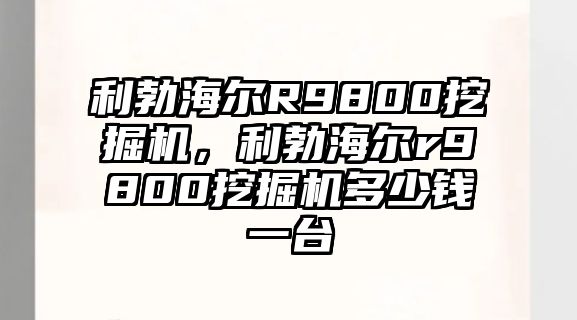 利勃海爾R9800挖掘機，利勃海爾r9800挖掘機多少錢一臺