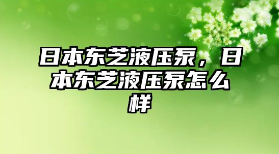 日本東芝液壓泵，日本東芝液壓泵怎么樣