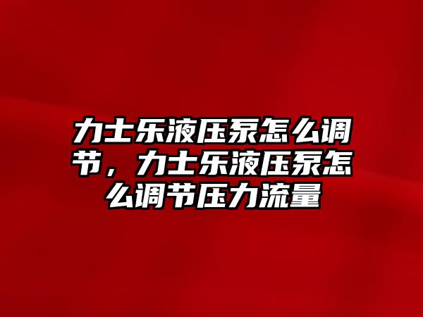 力士樂液壓泵怎么調(diào)節(jié)，力士樂液壓泵怎么調(diào)節(jié)壓力流量