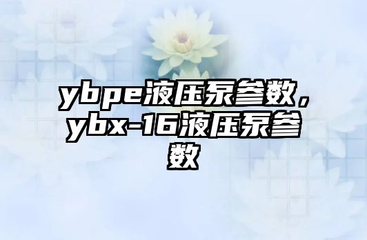 ybpe液壓泵參數(shù)，ybx-16液壓泵參數(shù)