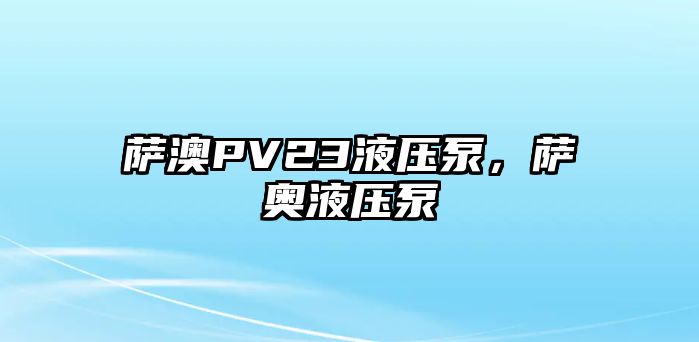 薩澳PV23液壓泵，薩奧液壓泵