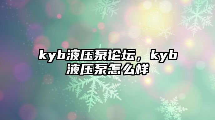 kyb液壓泵論壇，kyb液壓泵怎么樣